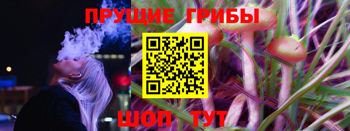 Галлюциногенные грибы Psilocybine cubensis  Вход с VPN  Барнаул 